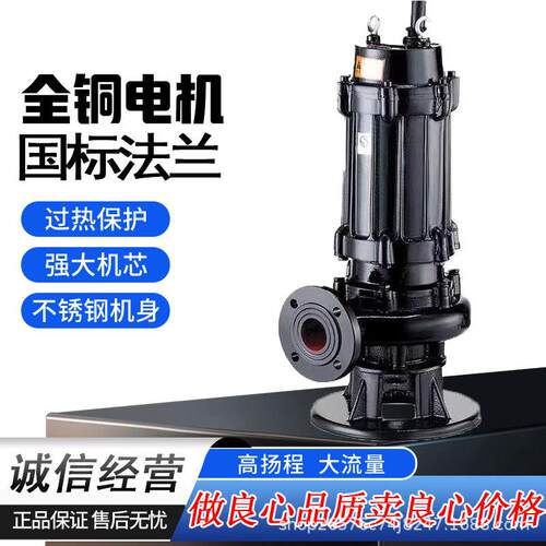 潜水排污泵污水提升泵220V泥浆抽粪沙230V地下室家用化粪池淤泥泵