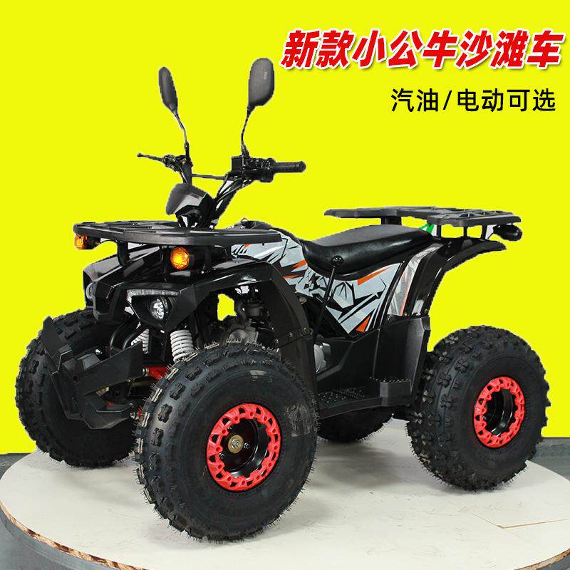 2025新款125CCATV沙滩车四轮越野摩托车景区娱乐小型沙滩车可出口