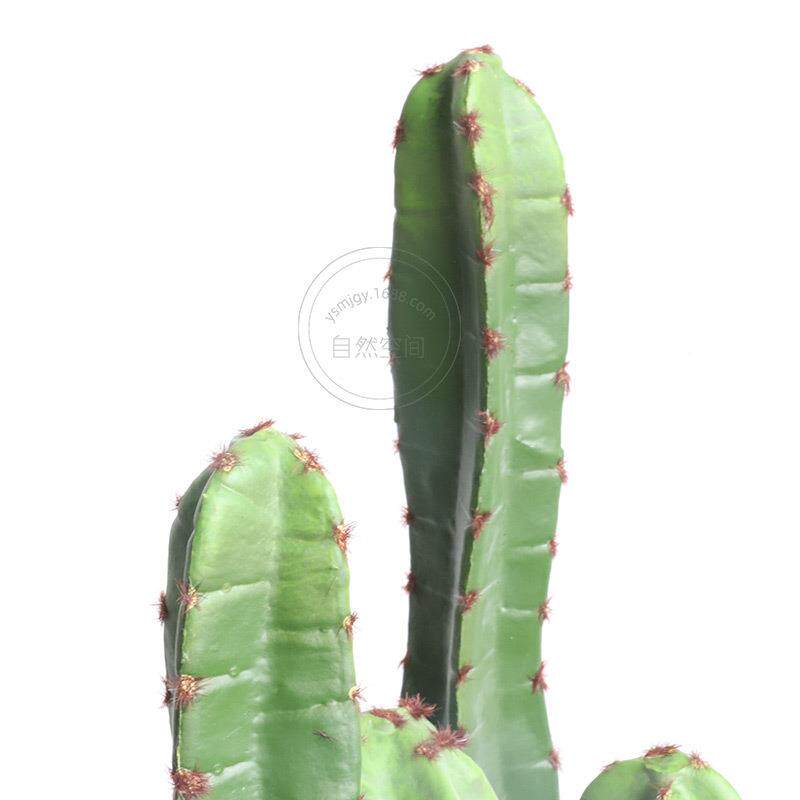 塑料仿真人绿掌假仙人塑柱软装仙555687景观装饰软装沙生植物北欧