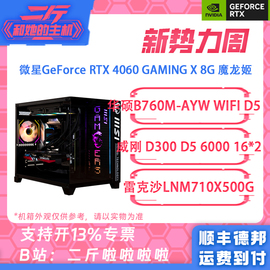 二斤/微星RTX 4060 GAMING X 8G 魔龙姬/14600KF /13600KF/整机