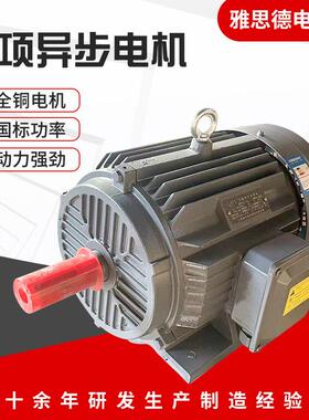 电机三相异步电动机YE3-100L-43.0W四级铜芯380V三相马达
