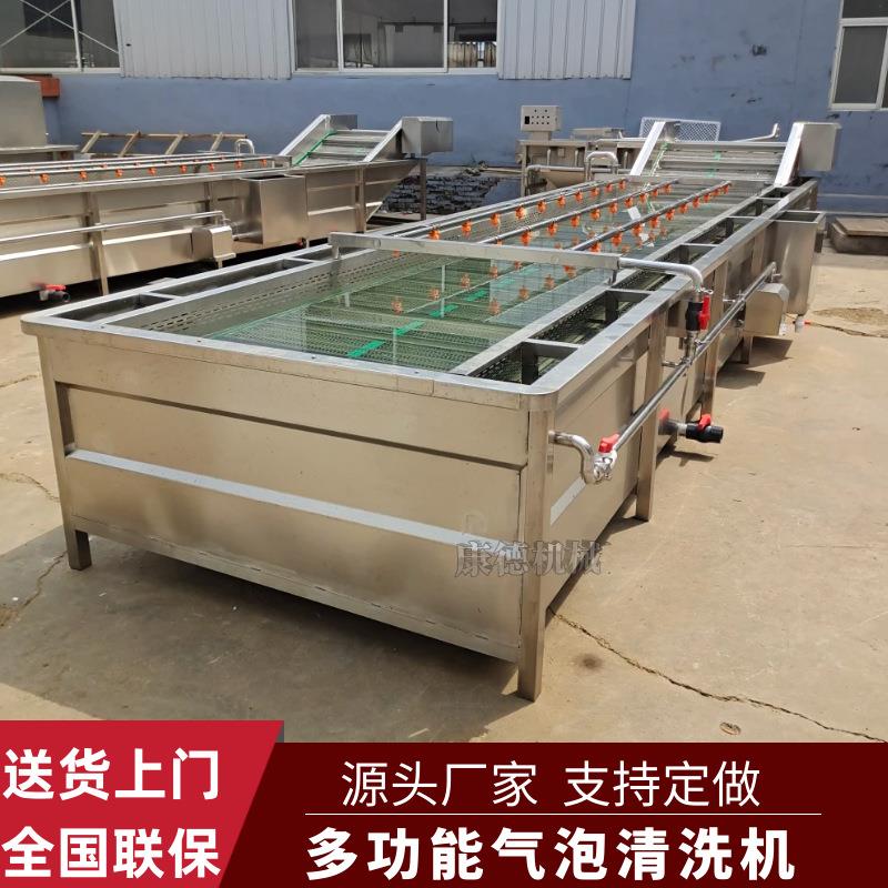 全自动银杏果清洗机海棠果气泡清洗机多功能枇杷清洗吹干流水线
