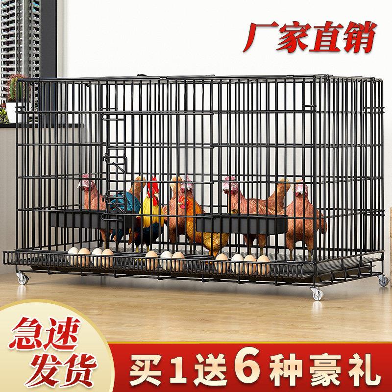 鸡笼家用室内室外阳台家庭养鸡笼小号大号特大号折叠养殖笼鸡笼子图片