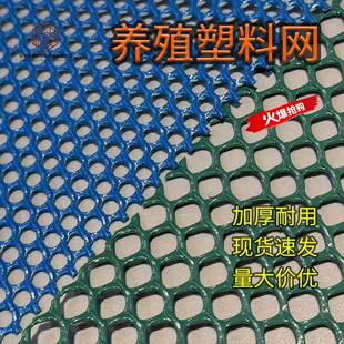 加厚聚乙烯塑料网家养宠物养殖防护网鸡鸭育雏漏粪塑料网格塑料网