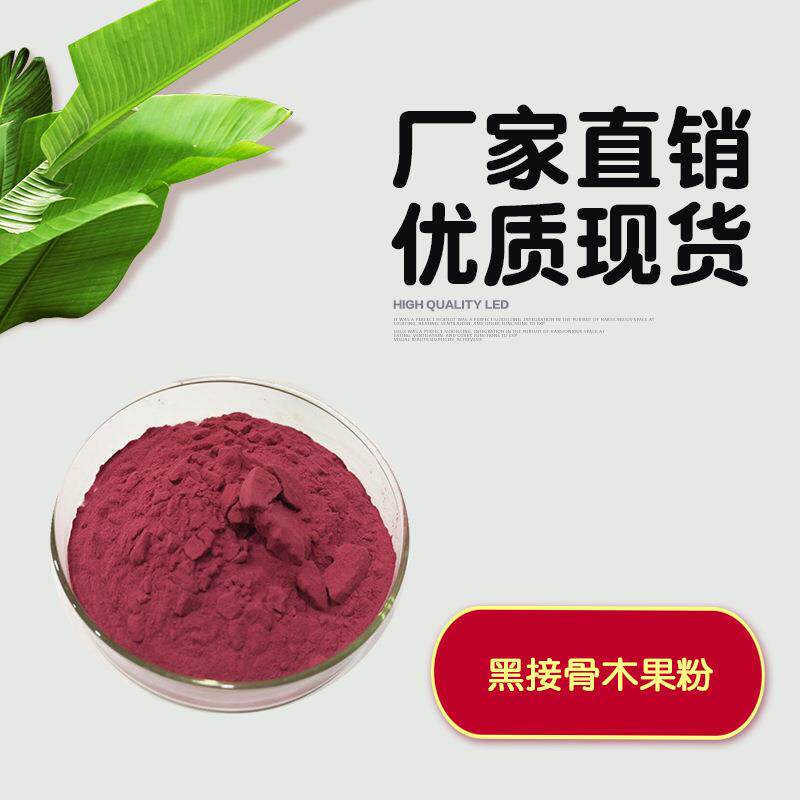 接骨木果粉 接骨木果提取物 接骨木汁粉 水溶性接骨木粉