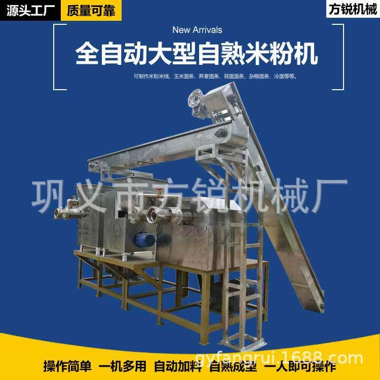 厂家供应大型饭店用米线机 立式多功能米线机 自熟一次成型米线机