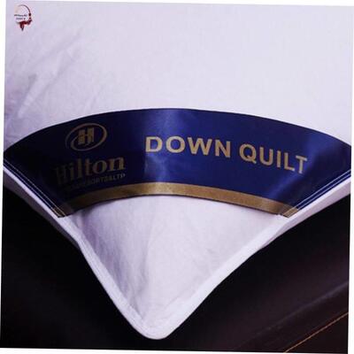 Pillow Healthy pillows feather velvet hotel pillow for bed