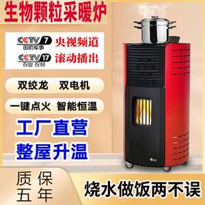 2022新款生物质颗粒取暖炉商用无烟采暖炉水暖炉真火壁炉工厂直销