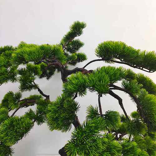 美人松CQ0027居仿真绿植摆盆栽家落地饰品件迎客松现装饰真仿货真