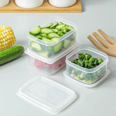 备冰姜箱冻肉盒格419冷冻盒密封盒分保鲜盒葱蒜米饭分装盒菜盒子