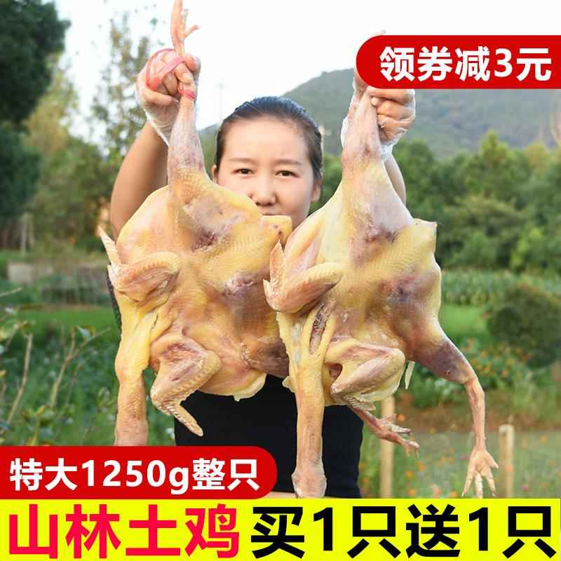 【买一送一】新鲜腌制腊鸡非湖北风干鸡整只咸鸡包邮农家自制特产