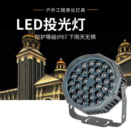 LED户外防水36W射灯绿化工程庭院聚光灯照树灯楼体墙面圆形投光灯