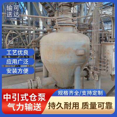 仓泵中引式仓泵高压输送泵气体输送泵浓相输送泵湖南生产