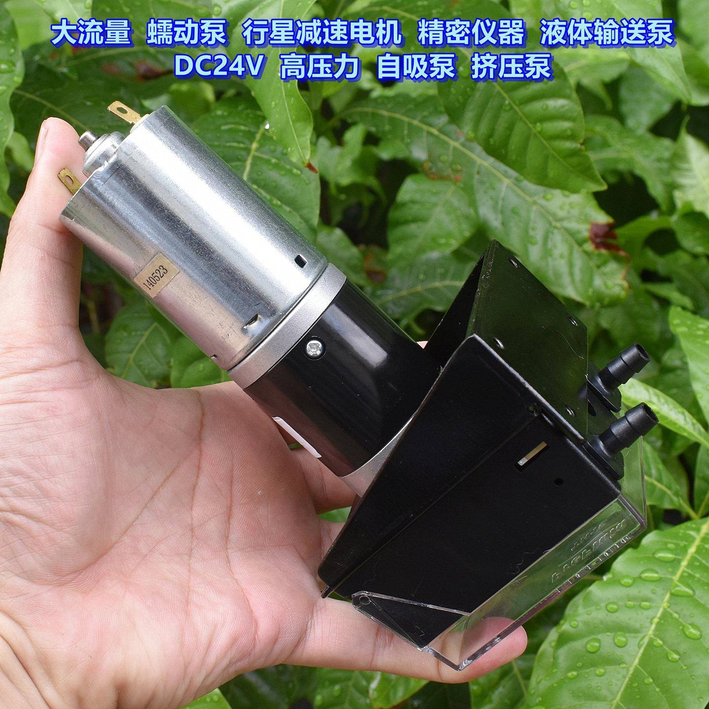 大流量蠕动泵行星减速电机水质分析设备DC24V高压力自吸泵循环泵
