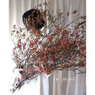 久伴天然山归来干 干燥花束真花插花长枝客厅桌面装饰摆饰侘寂中