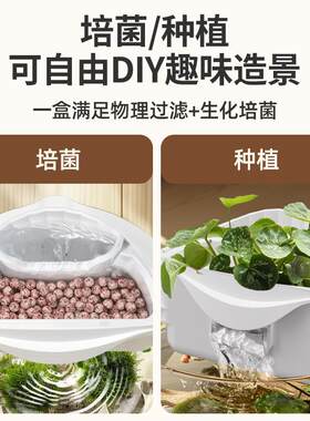 疯狂水草圆缸鱼草共生过滤器上置滴流盒三合一生态过滤盒
