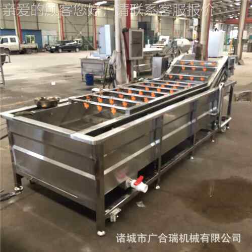 全自动果气清洗机 白菜荷喷兰豆圣泡女果土豆紫薯淋清ZQY蔬洗设备