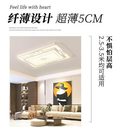 LE款D吸顶灯现简约家用大气格韵客厅灯代饰室新长方形大厅吊灯卧