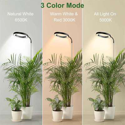 室内高可调大盆景植物天使环物生长灯植植物花卉景TLL观灯灯补度