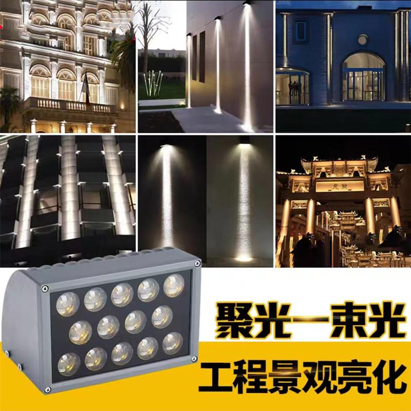 LED一束光射灯24W户外防雨别墅罗马柱子酒店外墙光束灯洗墙聚光灯