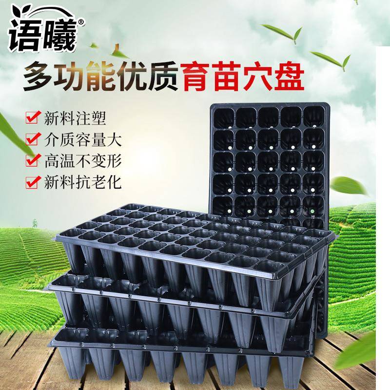 育苗盘种植盘 平盘无孔盒加深 阳台育苗扦插蔬菜加厚穴盘厂家