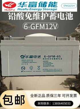 华富铅酸蓄电池6-GFM12V阀控密封24/40/65/120/200免维护UPS电源