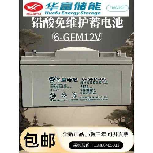 华富铅酸蓄电池6-GFM12V阀控密封24/40/65/120/200免维护UPS电源