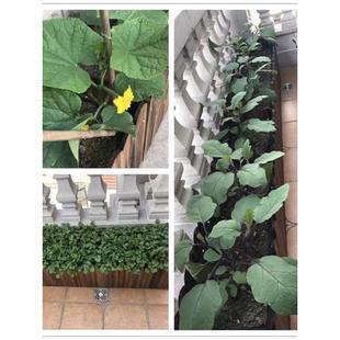 防腐木花箱特大长方形花盆阳台种菜盆碳化实木栅栏种植箱多肉花槽