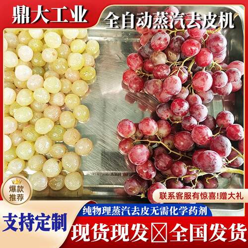 葡萄蒸汽去皮机加厚不锈钢机身精工打造耐用葡萄深加工脱皮设备