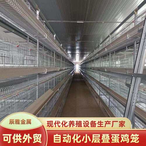 农场养鸡笼h型鸡笼小层叠自动化蛋鸡笼养殖设备自动捡蛋供水鸡笼