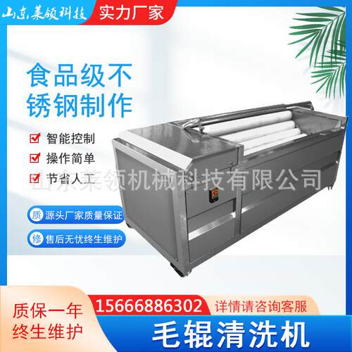 全自动果蔬毛锟清洗机 根茎类平行毛刷清洗设备 土豆去皮洗刷机