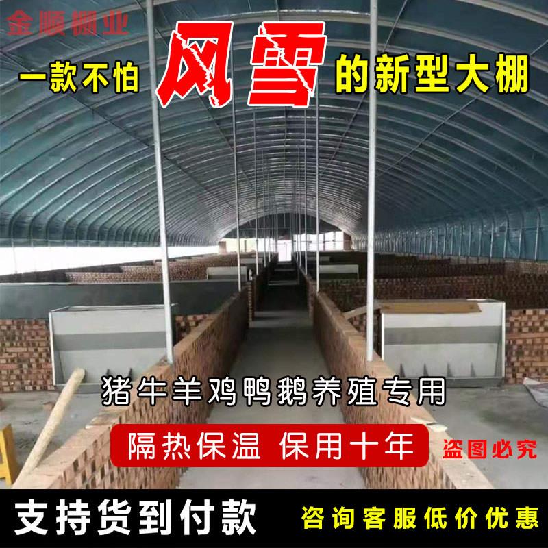 养猪大棚养猪场猪舍钢管骨架全套保温防晒椭圆管定制养殖大棚搭建