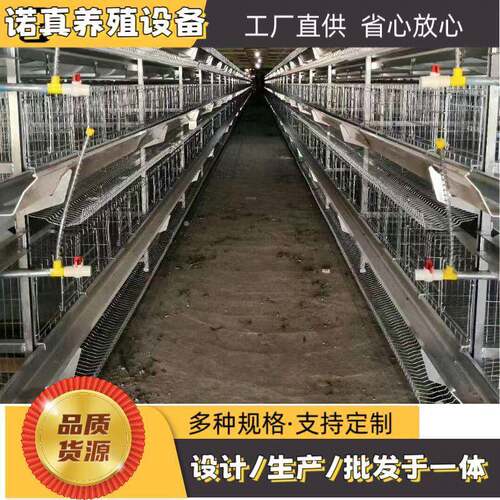 青年鸡全自动框架养鸡笼鸡舍养鸡场层叠式育雏设备四层育雏鸡笼