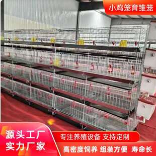 现货立式四层小鸡笼育雏鸡笼层叠式养鸡笼养鸡设备养殖场鸡舍用