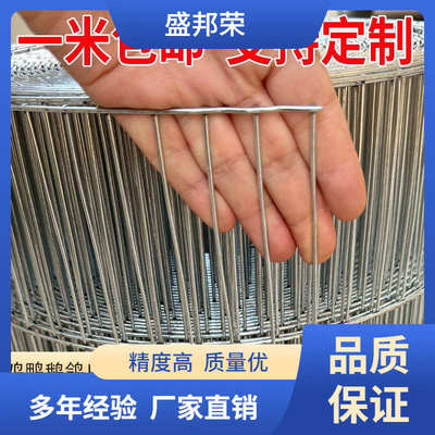 盛邦荣鸽舍围栏网养殖网长孔防护网鸡网片钢丝网鸟笼铁网镀锌铁丝