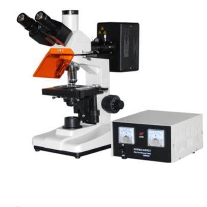 ZY-EFM-02落射荧光显微镜实验室用专业荧光显微镜