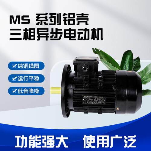 龙然机电YE4三相异步燃烧机空压机铝壳电机IE4能效燃烧机电动机