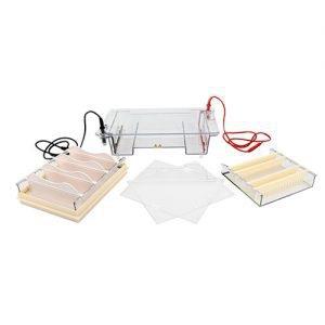 DYCP-31E型琼脂糖水平电泳仪(中号)六一仪器