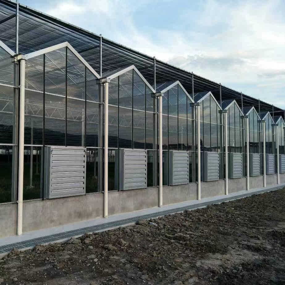 蔬菜种植大棚钢管骨架温室 蔬菜种植大棚钢管骨架 玻璃温室大棚