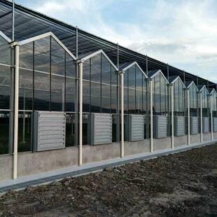 蔬菜种植大棚钢管骨架温室 蔬菜种植大棚钢管骨架 玻璃温室大棚