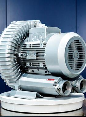 风环保RBDCT-6全D-330KW300w真空吸料1机漩涡气泵