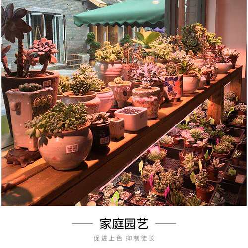 植物生长灯 多肉蔬菜瓜果温室大棚种植灯悬挂式防水补光灯育苗灯