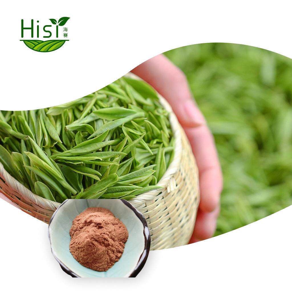 绿茶粉现货食品级提取物高含量茶多酚95%色棕红味涩植物水溶