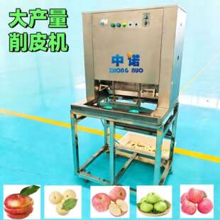 制作秦冠干设备 连续式糖心富士去皮机 省人工寒富去皮机器 现货