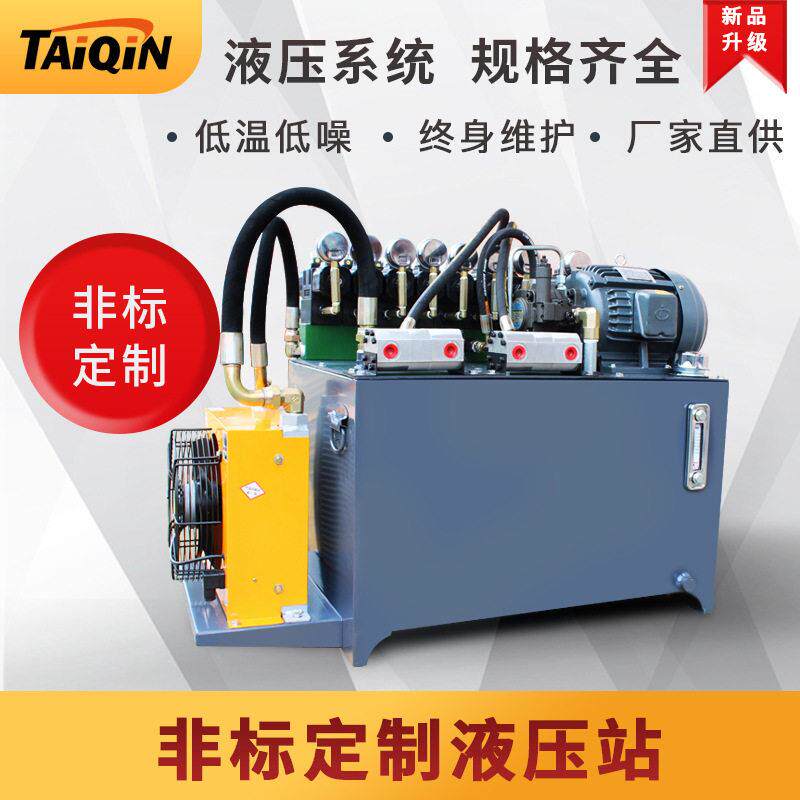 定制非标液压站总成低温低噪汽车尾板成套液压系统液压动力元