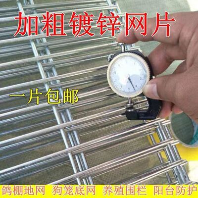 长孔聚成围镀锌铁粗丝殖网片鸽舍网热浸镀锌钢丝网养加加密地网防