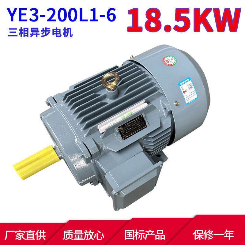 YE3系列三相电动机YE3-200L1-618.5W6极三相异步电机马达本速