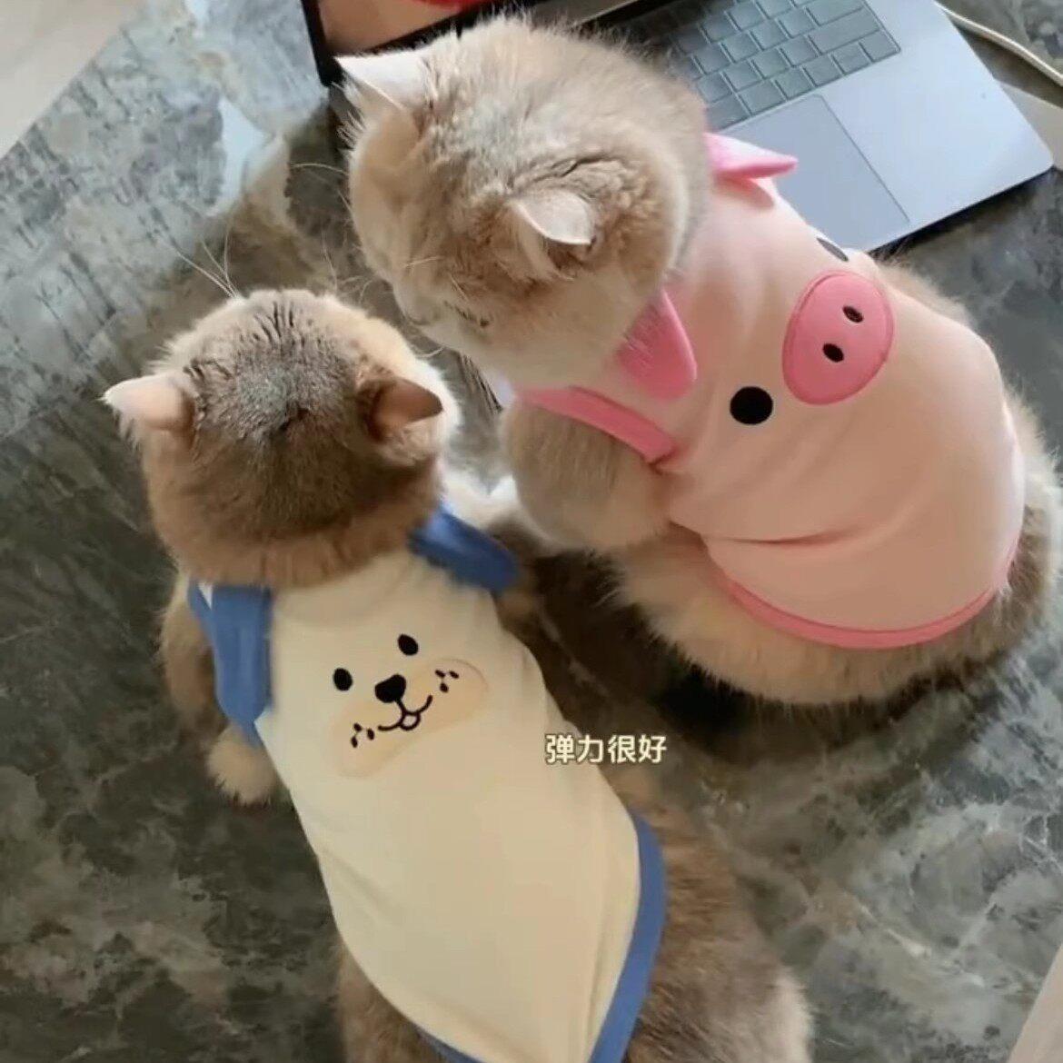 猫咪衣服夏季吊带背心金渐层英短布偶蓝猫日系风宠物可爱薄款马甲