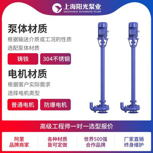 NL系列污水泥浆泵液下排污泵边立式铸铁液下泵离心泵耐酸碱液下泵