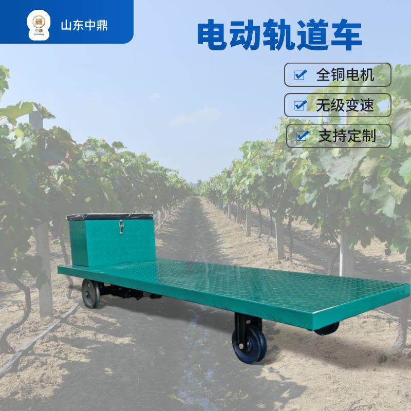电动遥控小火车平板运输车电瓶有轨车可加感应停车大棚运输轨道车